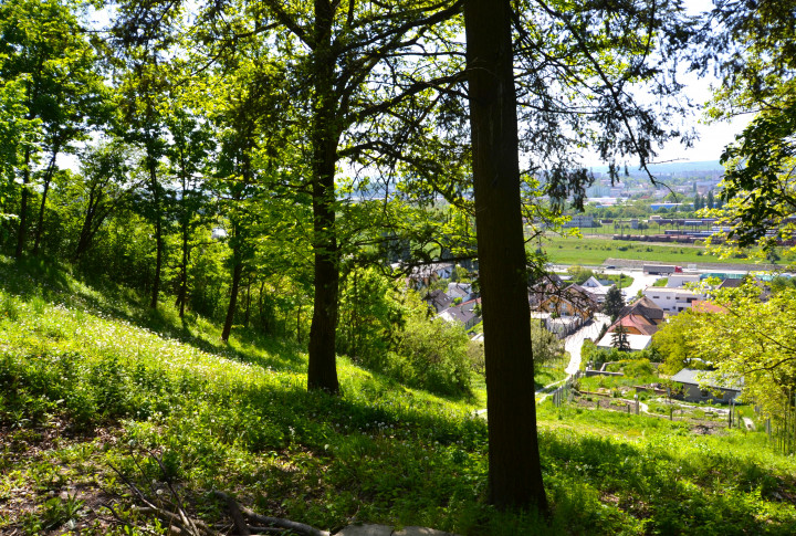 Na predaj rekreačný pozemok Košice