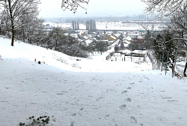 Na predaj záhrada Košice